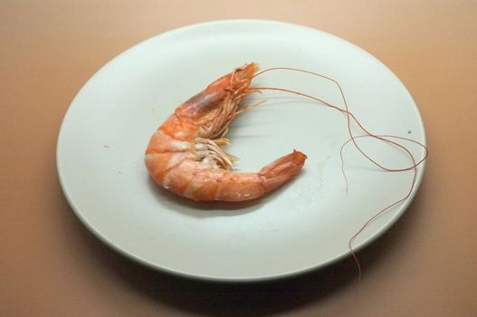 Cooked, boiled, steamed shrimp, prawn