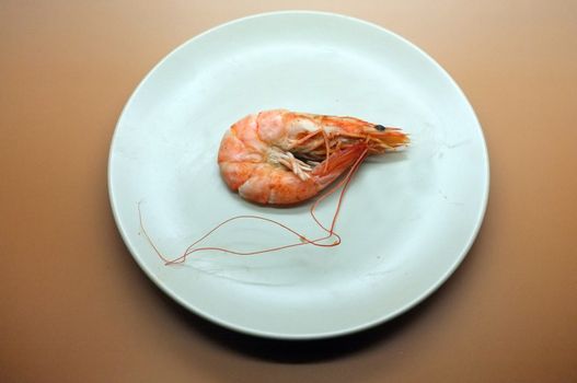 Cooked, boiled, steamed shrimp, prawn