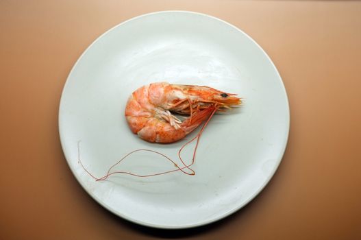 Cooked, boiled, steamed shrimp, prawn