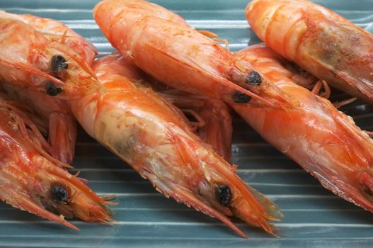 Cooked, boiled, steamed shrimp, prawn