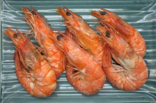 Cooked, boiled, steamed shrimp, prawn