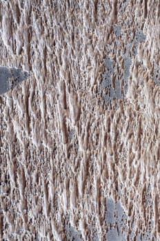 Weathered wooden texture