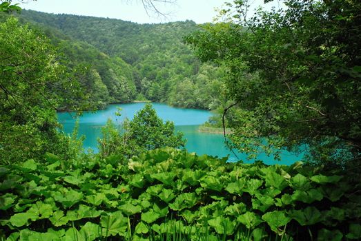 plitvice lake - national park in Hrvatska 