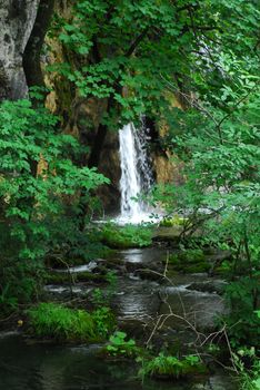 plitvice lake - national park in Hrvatska 