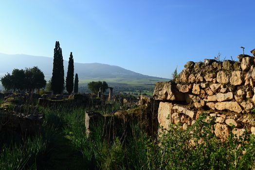 Volubilis - ruins of historical city from age of roman empire
