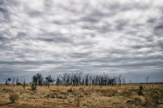 Outback landscape in New Wales, Australia