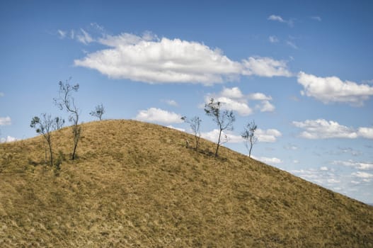 Outback landscape in New Wales, Australia