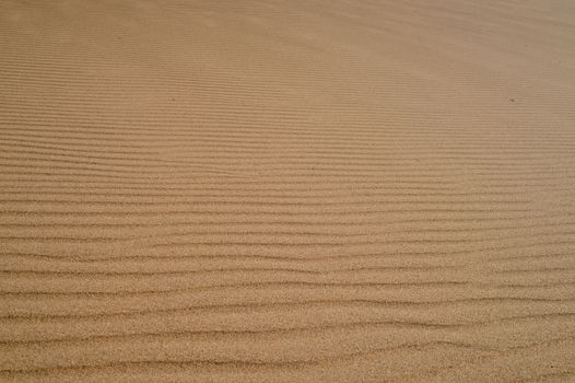 sand Sahara desert in Morocco near Mhamid