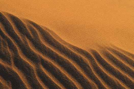 sand Sahara desert in Morocco near Mhamid