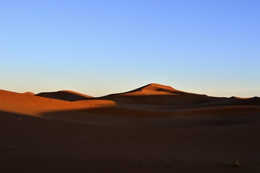sand Sahara desert in Morocco near Mhamid