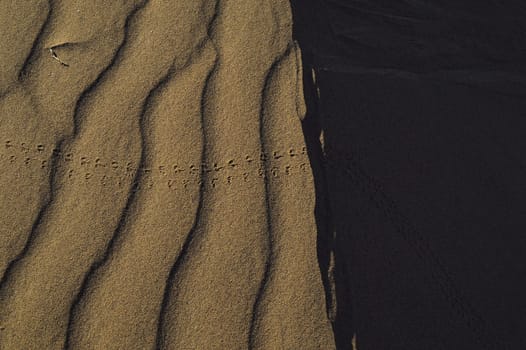 sand Sahara desert in Morocco near Mhamid