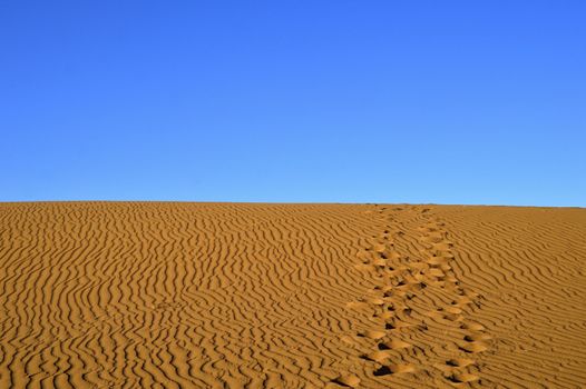 sand Sahara desert in Morocco near Mhamid