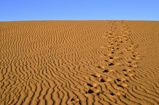 sand Sahara desert in Morocco near Mhamid
