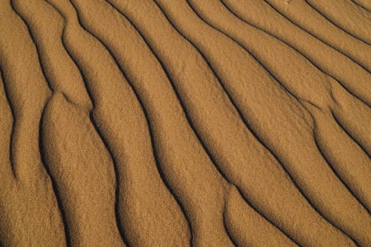 sand Sahara desert in Morocco near Mhamid