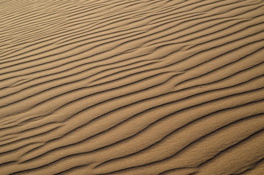 sand Sahara desert in Morocco near Mhamid