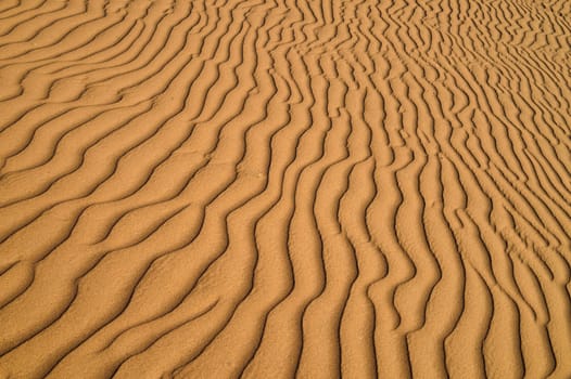 sand Sahara desert in Morocco near Mhamid