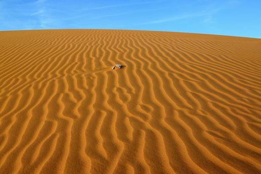 sand Sahara desert in Morocco near Mhamid