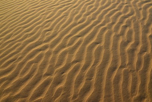 sand Sahara desert in Morocco near Mhamid