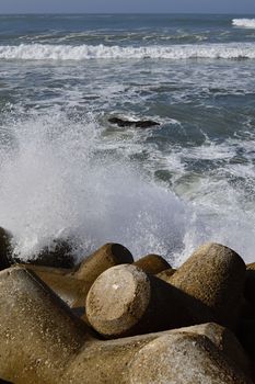 nice atlantic coast in Essaouira in Morocco