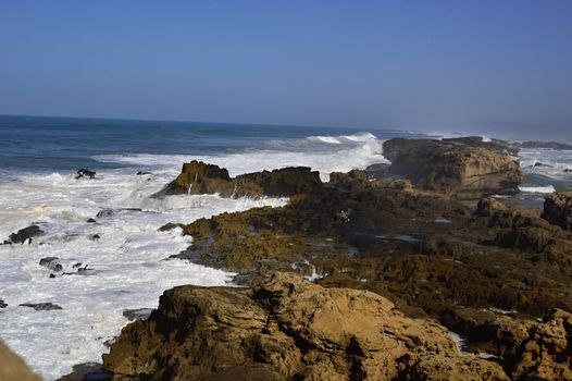 nice atlantic coast in Essaouira in Morocco