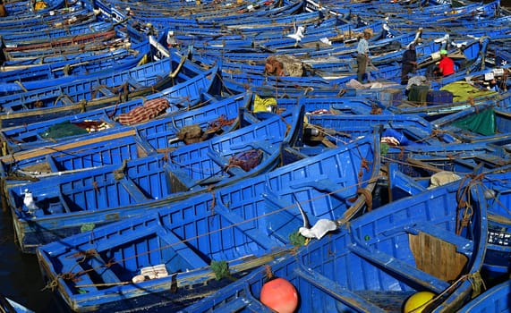 nice blue boat in old port in Essaouira