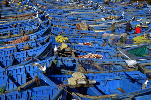 nice blue boat in old port in Essaouira