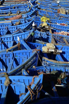 nice blue boat in old port in Essaouira
