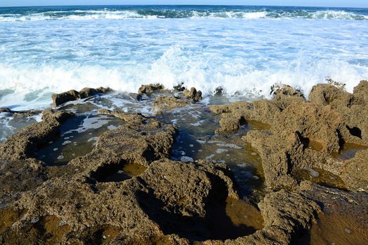 nice atlantic coast in Essaouira in Morocco