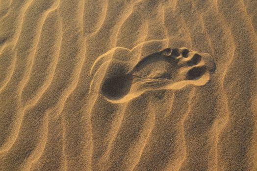 footstep in Sahara in Erg Chigaga desert