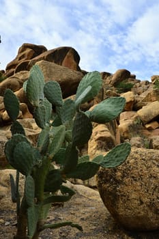 rocks in Tafroute in Atlas mountains in Morocco