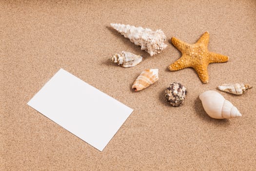 Shells on the sand with a low lighting with space for text