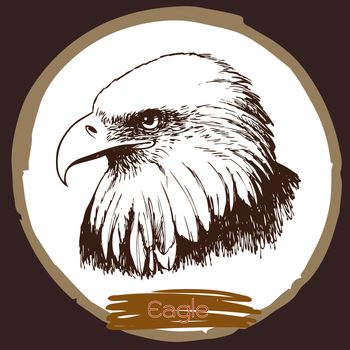 freehand sketch illustration of eagle, hawk bird doodle hand drawn