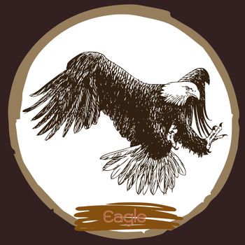 freehand sketch illustration of eagle, hawk bird doodle hand drawn