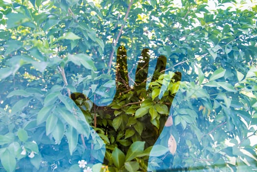 Double exposure of hand and tree