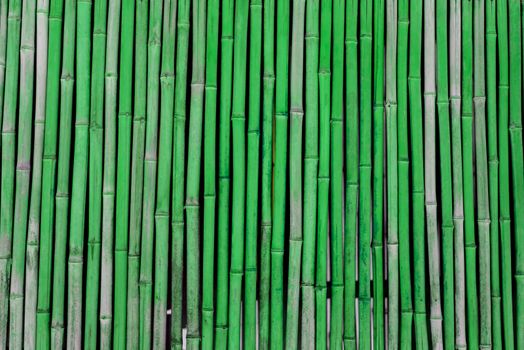 Green Bamboo background texture