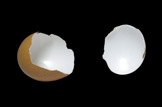 Eggshell isolated on black background