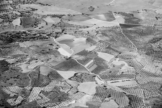 Real cultivated landscape taken from an airplane (black and white)