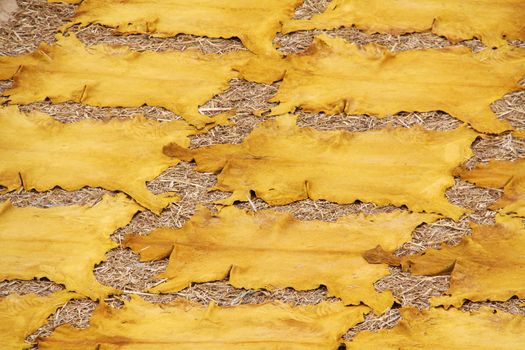 Orange leather on a rooftops of tanneries in Fes, Morocco