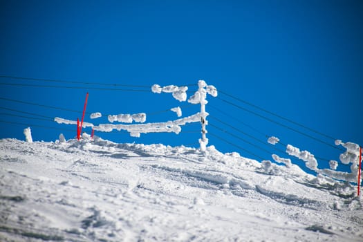 Snow on a fence