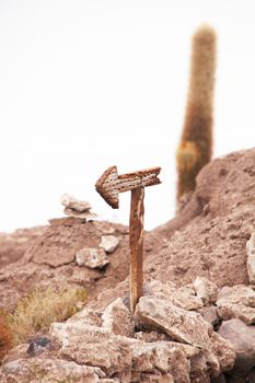 Arrow and a Cactus in background