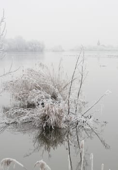 Winter lake and frozen grass