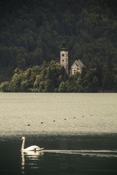 Island with a church on the Lake Bled in Slovenia