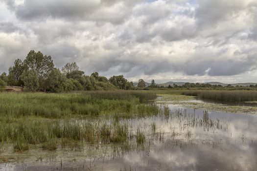 Beautiful lake at Cerknica - the only intermittent lake in Slovenia.