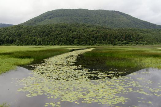 Beautiful lake at Cerknica - the only intermittent lake in Slovenia.