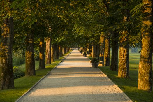 Path in a beautiful park at sunset time