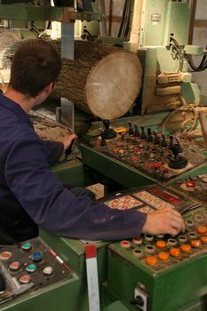 Industry worker slicing wood