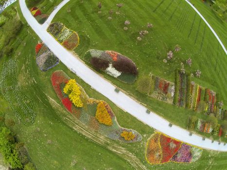 Vertical vieww from above to the park in full blossom