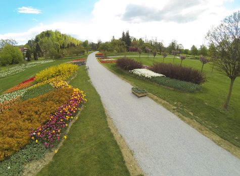 View on a footpath in a park on a sunny day