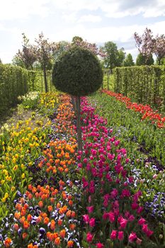 Flowers in full blossom in a park in Slovenia