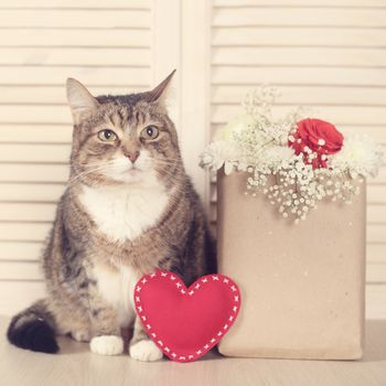 Valentines day cat with Flowers in paper bag and heart on wooden background
